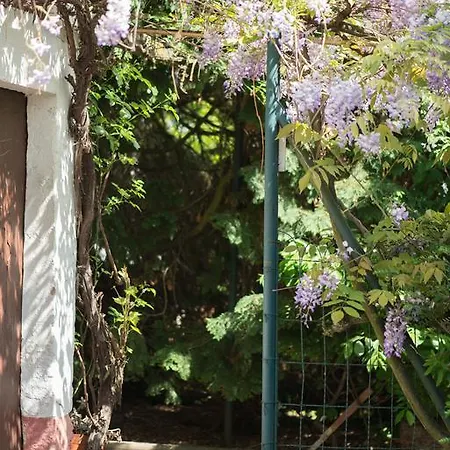 Πανσιόν T3 Aux Deux Cigognes Gries