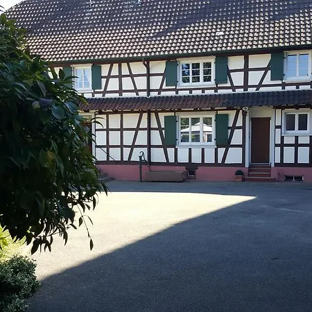 T3 Aux Deux Cigognes 4* Gries