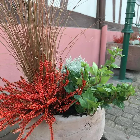 T3 Aux Deux Cigognes Πανσιόν 4*