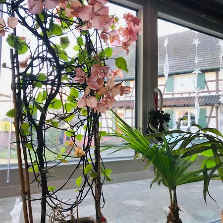 T3 Aux Deux Cigognes